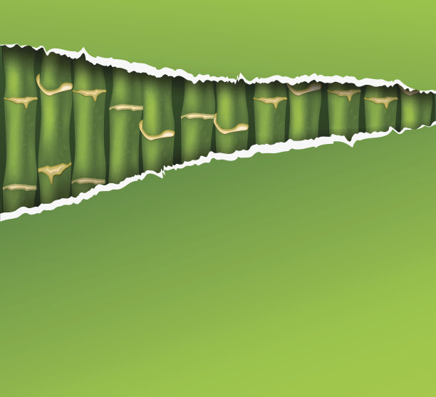 竹子的背景图片下载