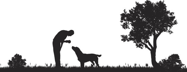 矢量插图。图片下载