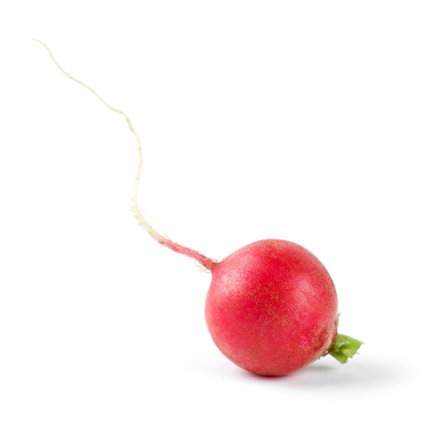 新鲜的红色的萝卜图片下载