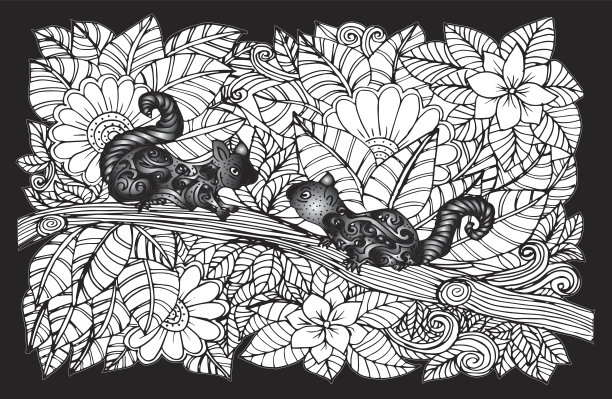 手绘的两只松鼠是用涂鸦的方式创作的图片下载