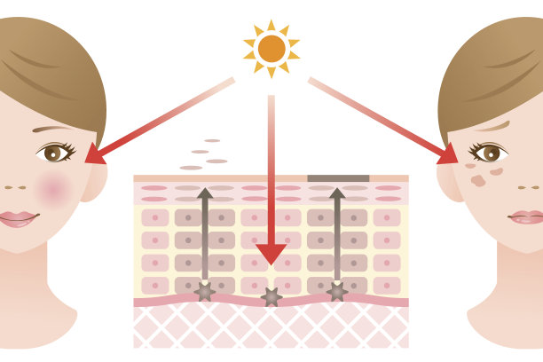 皮肤的地方图片下载