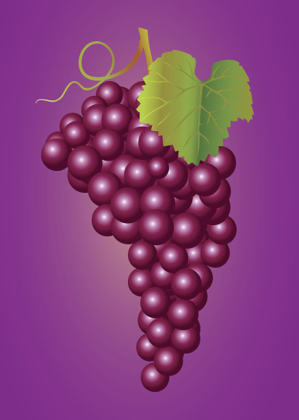 红葡萄图片下载