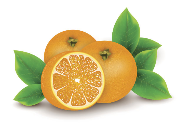 一堆鲜橙图片下载