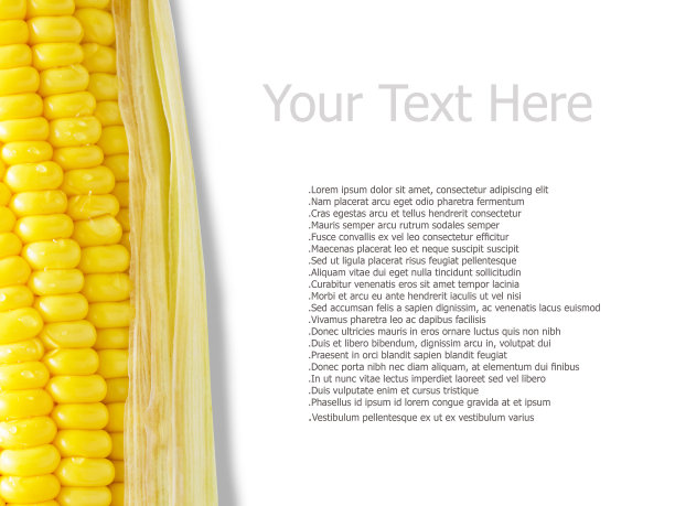 背景玉米图片下载