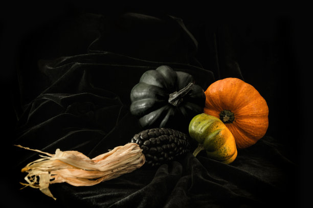 黑色背景下的南瓜和玉米穗图片下载