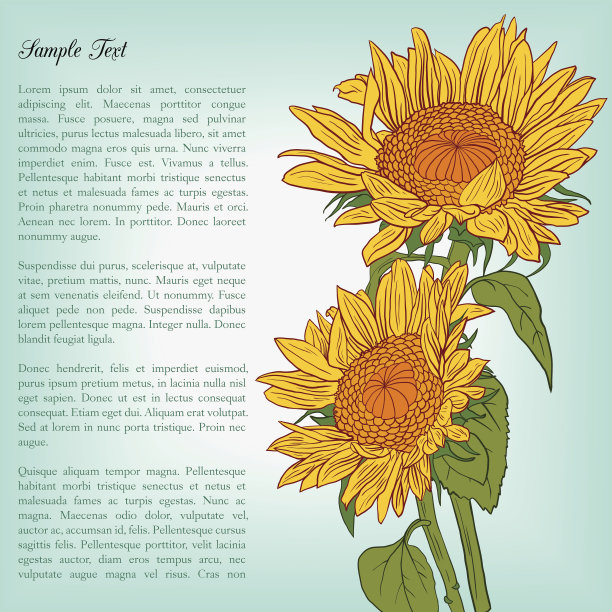 鲜花卡片与向日葵图片下载