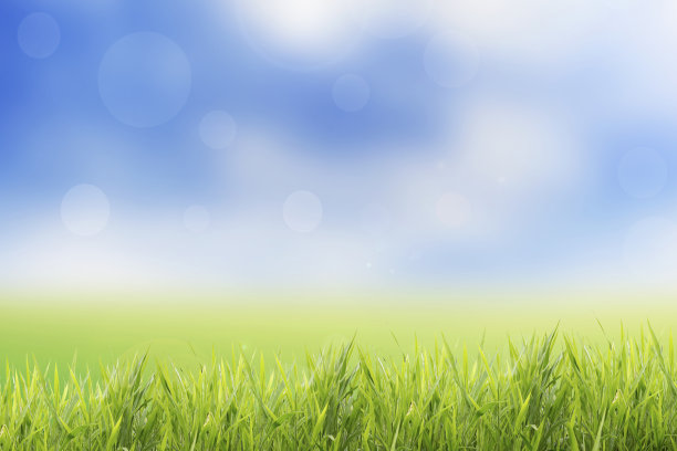 春天或夏天抽象的自然背景与草地图片下载