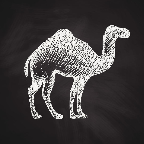 骆驼图标图片下载