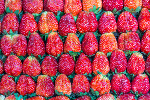 新鲜许多草莓图片下载