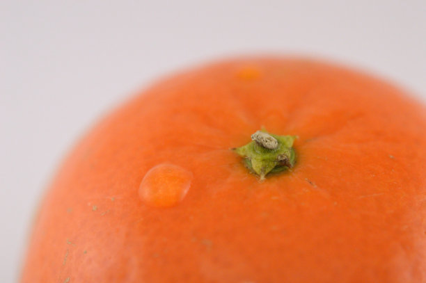 橘子滴图片下载