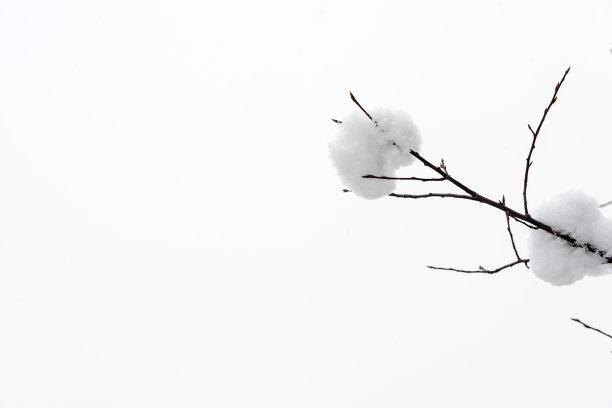 冬天的雪花图片下载