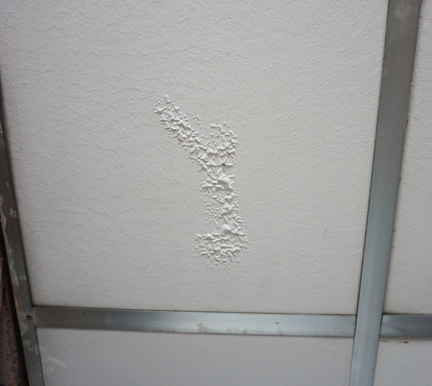 天花板上有水蚀的小痕迹。图片下载