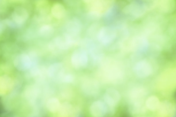 新鲜的绿色背景图片下载