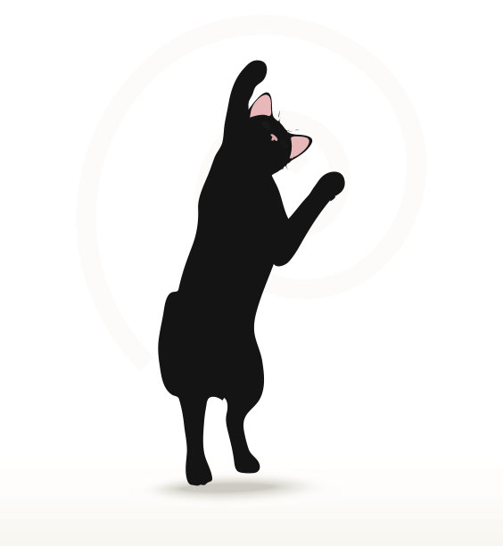 伸展式中猫的侧影图片下载