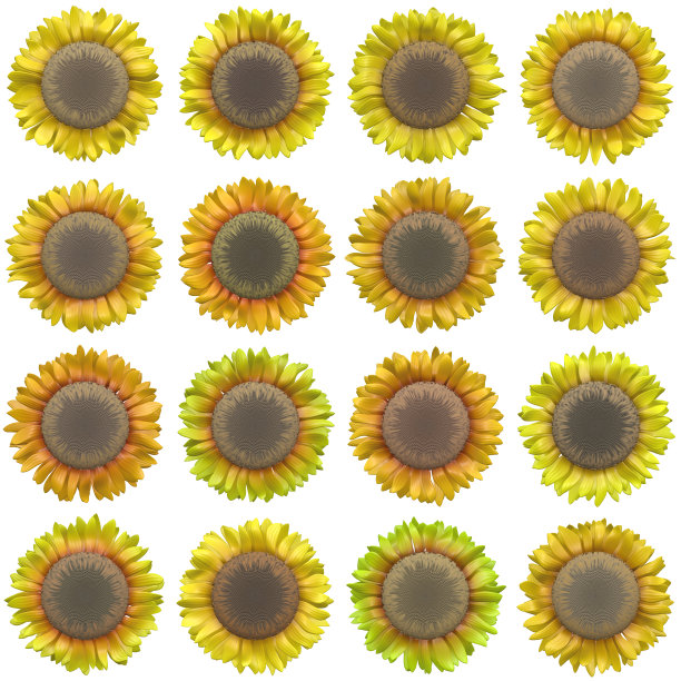 布鲁姆集生成纹理图片下载