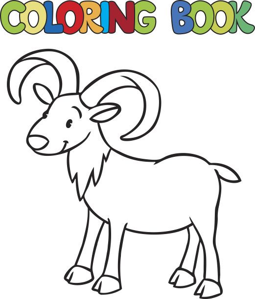 有趣的小尿轮或公羊图片下载