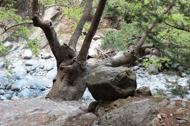 干燥的流图片下载