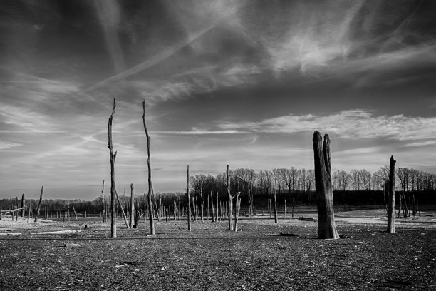 荒凉的黑与白图片下载