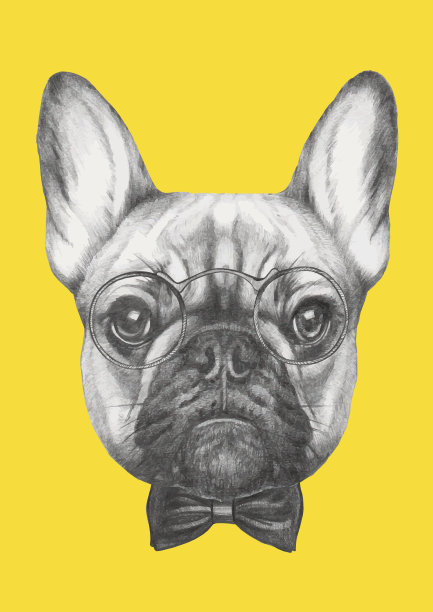 手绘肖像的法国斗牛犬。图片下载