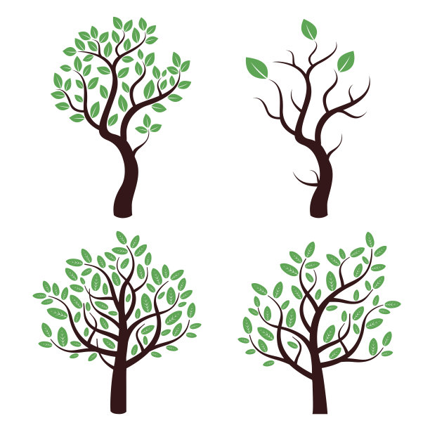 一组带有绿叶的向量树。图片下载