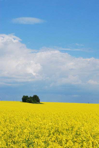 拉普费尔德图片下载