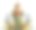 令人惊叹的巨大雕像和佛塔孤立在白色的背景图片下载