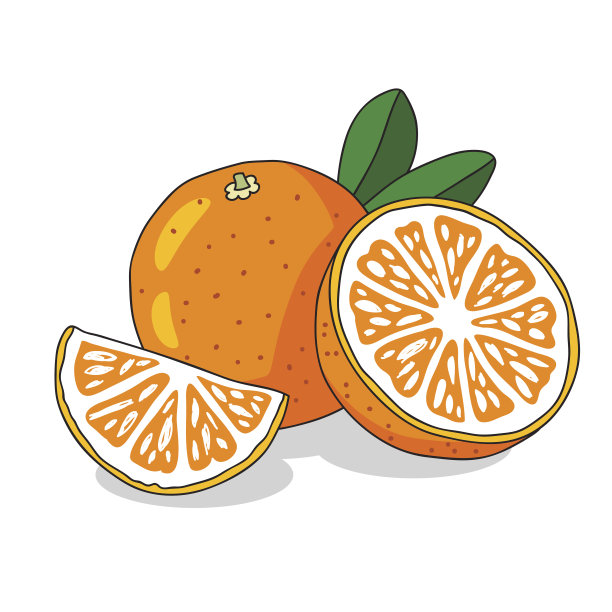 多汁的橘子。阳光明媚的夏天的水果图片下载