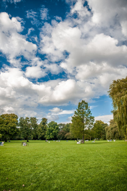 美丽的公园和草地。图片下载