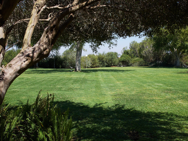 在大花园的草地上图片下载