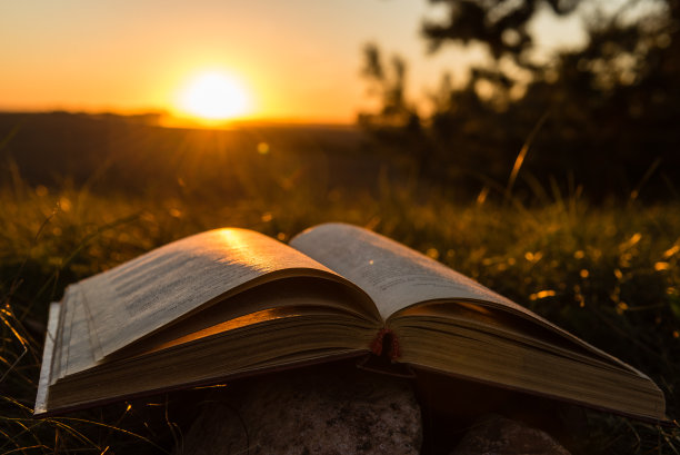 在夕阳的阳光下打开书本图片下载