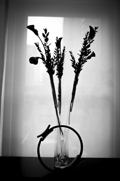 鲜花背光图片下载