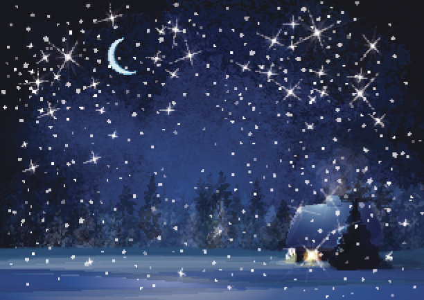 矢量夜冬季景观。图片下载