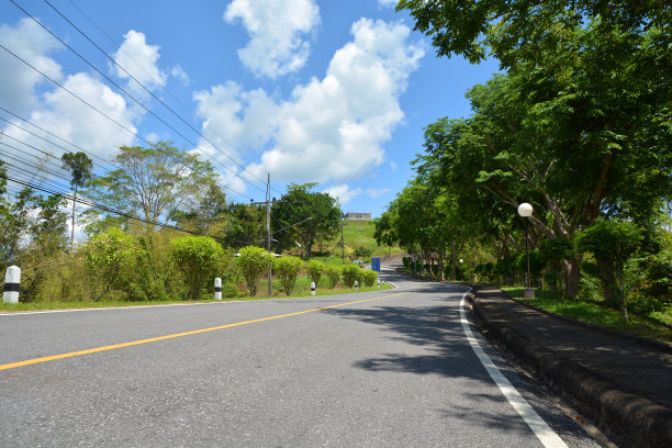 巷道与树图片下载