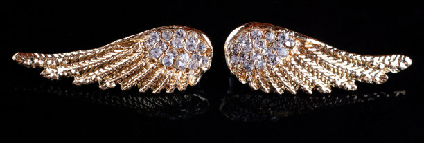 金翅耳环图片下载