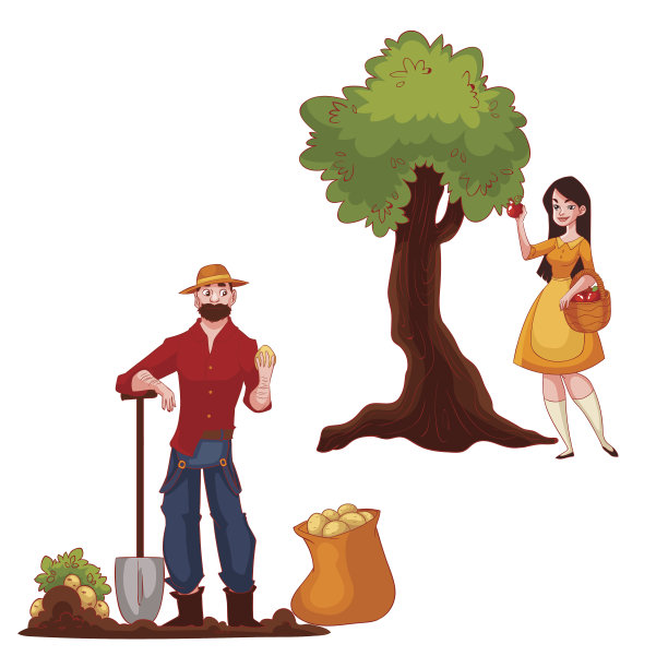 男人在收获土豆，女人在摘苹果图片下载