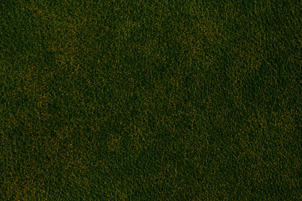 绿色皮的背景。图片下载