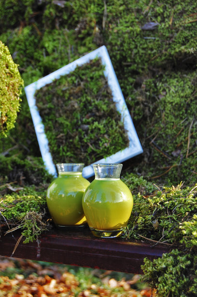 园林用花卉装饰，花卉设计。园林装饰要素图片下载