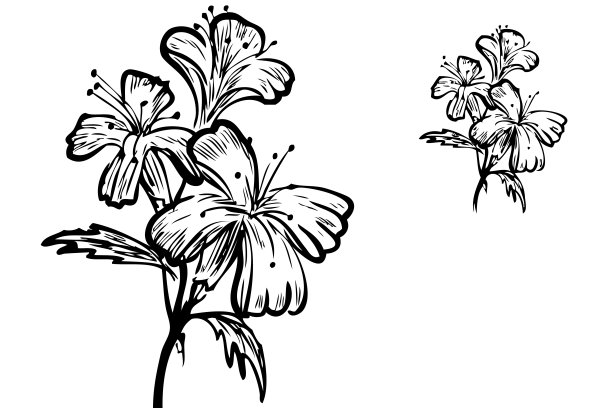 白色背景上的花图案图片下载