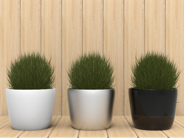 盆栽植物与木制背景图片下载