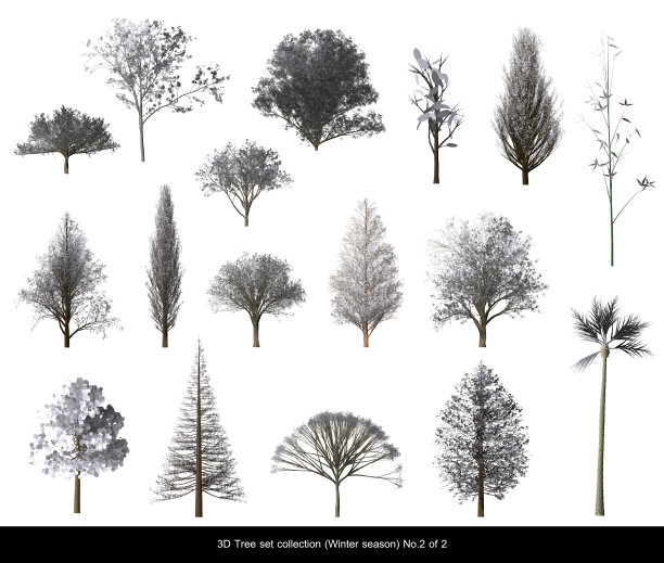 白雪树冬季3D树孤立在白色2号图片下载