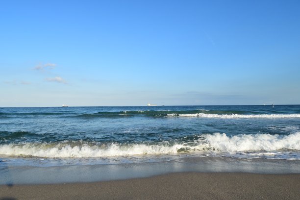 佛罗里达的海滩图片下载