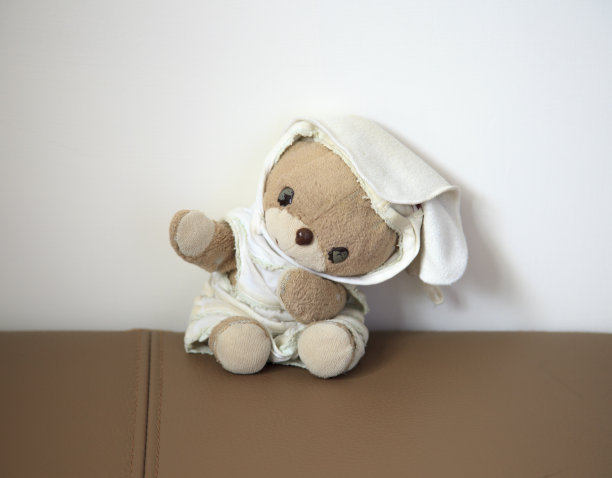 可爱的小泰迪熊图片下载