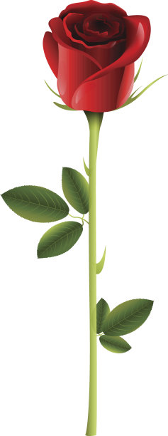 病媒独自升起孤立在白色背景上图片下载