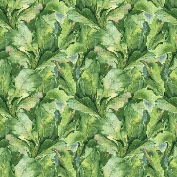 水彩新鲜的夏季绿色野菜图案图片下载