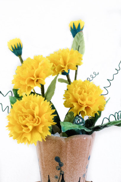 花从茧。图片下载