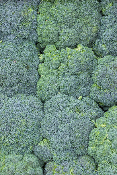 花椰菜背景图片下载