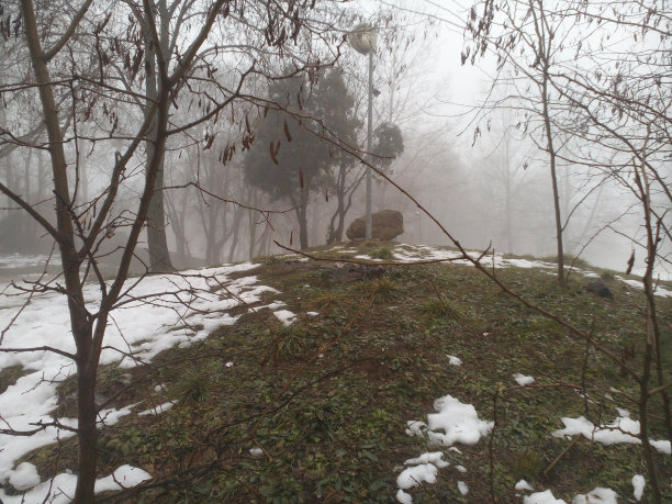 雪覆盖的森林图片下载