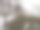 雪覆盖的森林图片下载