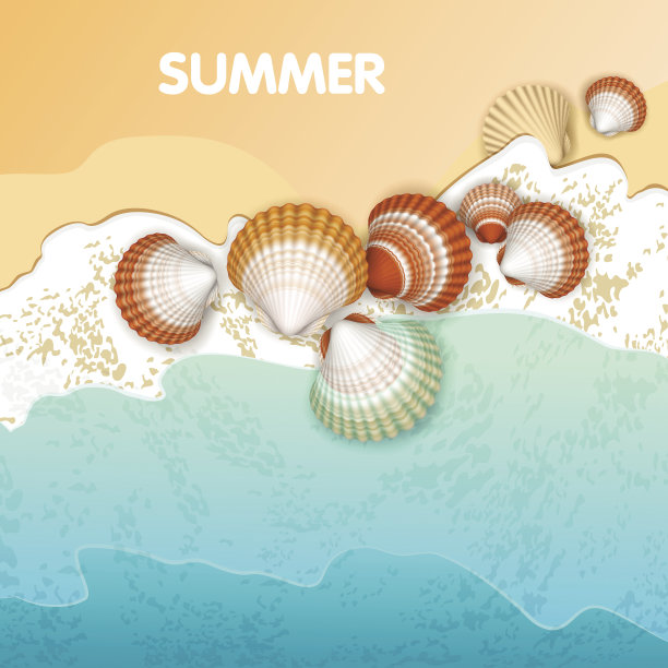 贝壳在海浪上。图片下载