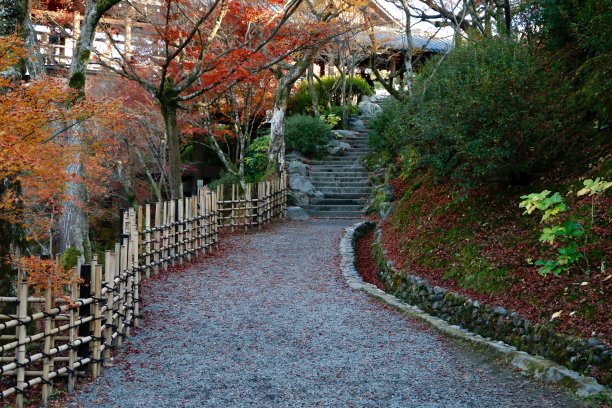 京都的东福寺图片下载